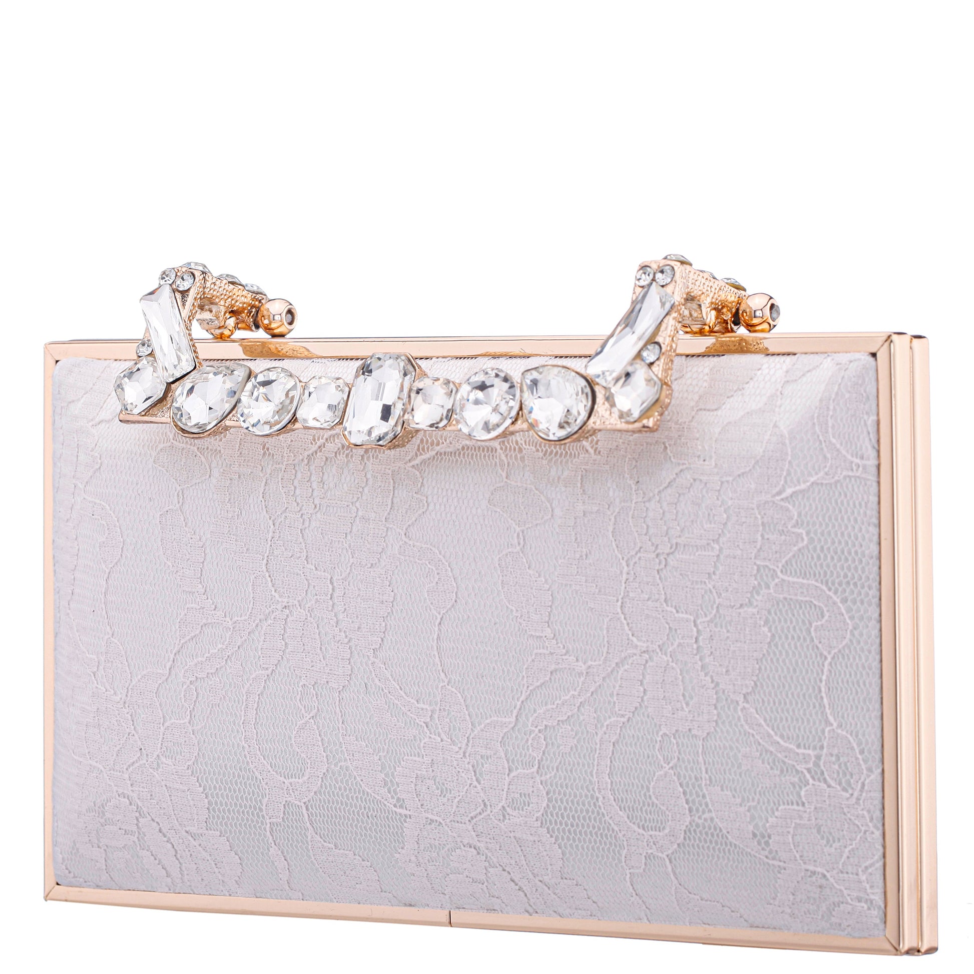 Boujee-L Beige Lace Minaudiere | Nina Shoes